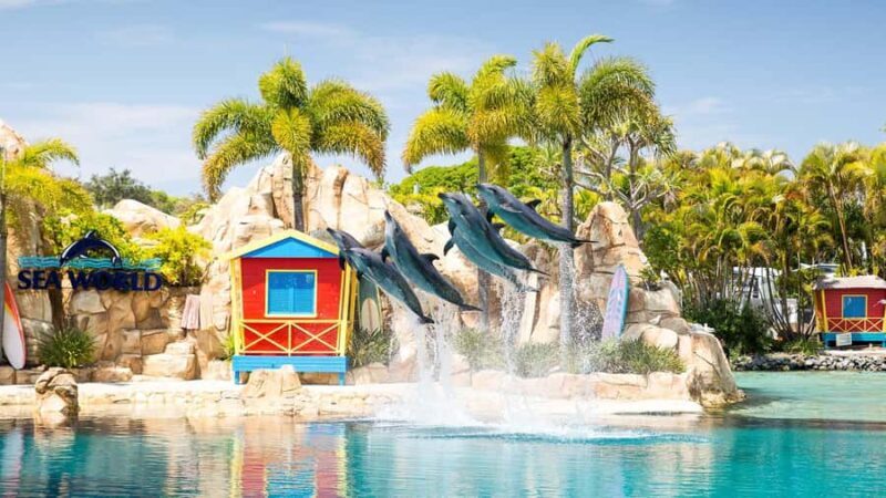 Gold Coast: Sightseeing Hop-on Hop-off Cruise - Who Should Consider This Tour?