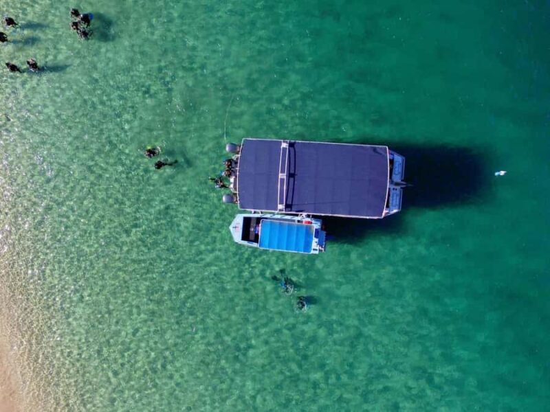 Gold Coast: Snorkelling in Wave Break Island - An Overview of the Experience