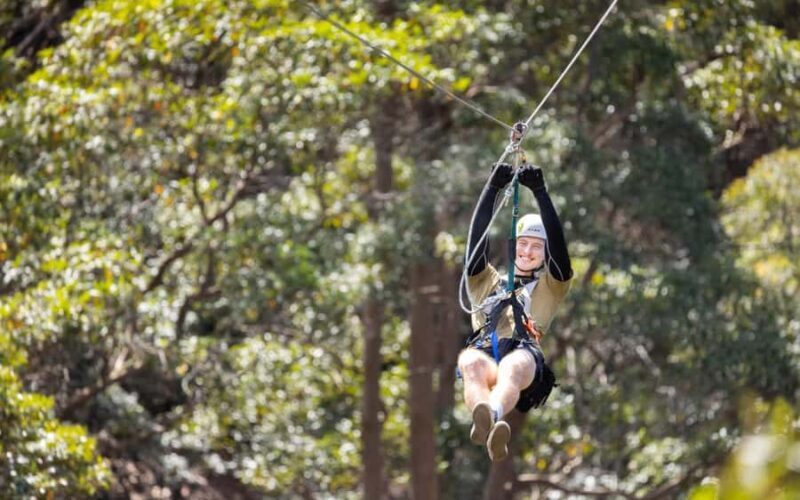 Gold Coast: Tamborine Mountain Canyon Flyer Zipline Tour - Key Points