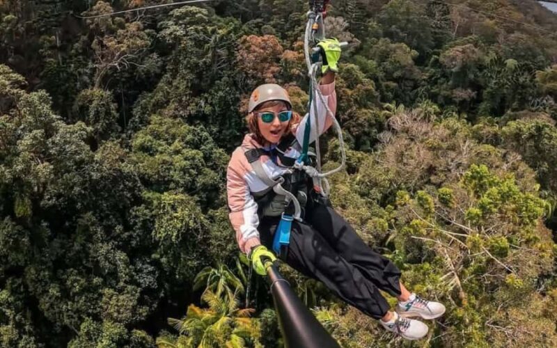 Gold Coast: Tamborine Mountain Canyon Flyer Zipline Tour - An Overview of the Zipline Experience