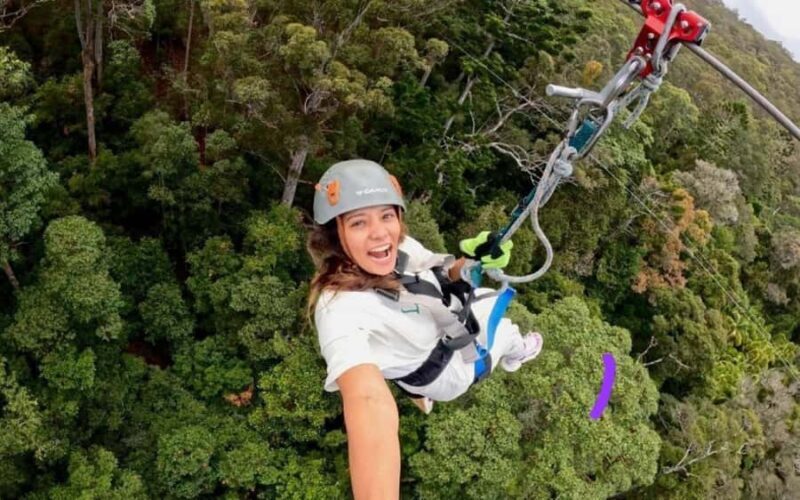 Gold Coast: Tamborine Mountain Canyon Flyer Zipline Tour - The Practical Details