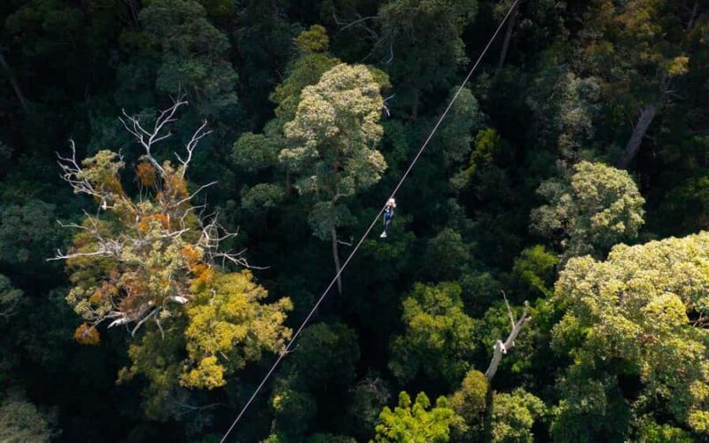 Gold Coast: Tamborine Mountain Canyon Flyer Zipline Tour - The Guides and the Overall Experience