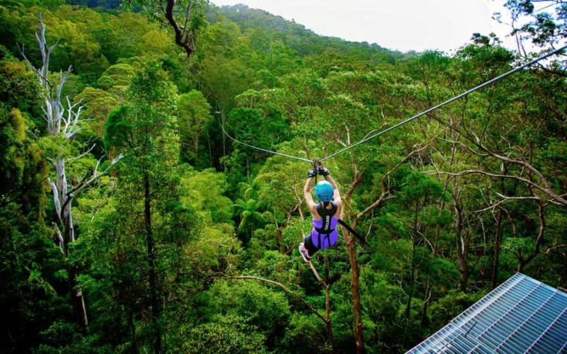 Gold Coast: Tamborine Mountain Canyon Flyer Zipline Tour - Final Thoughts
