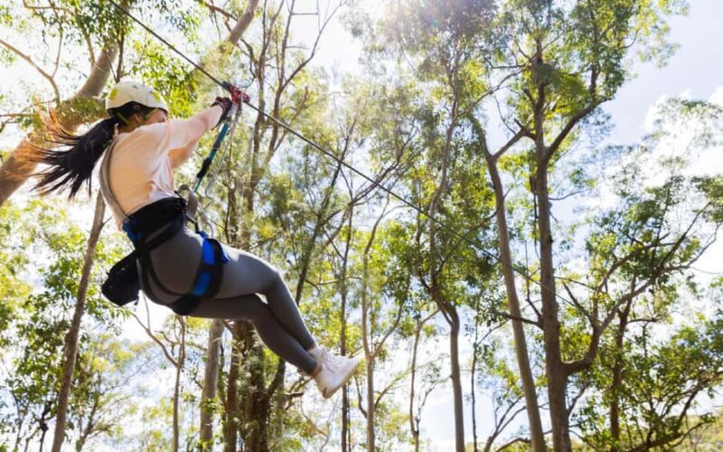 Gold Coast: Tamborine Mountain Canyon Flyer Zipline Tour - FAQs