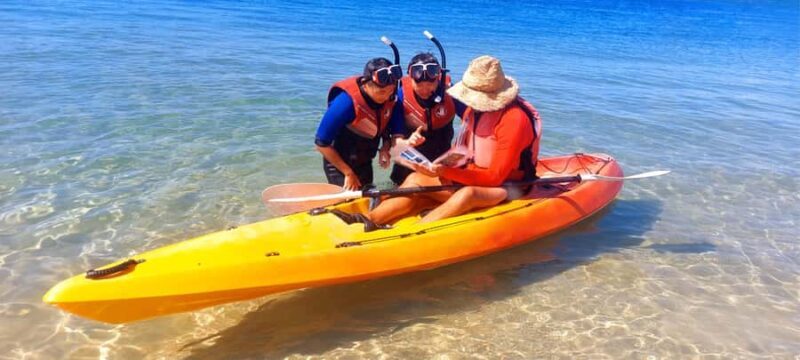 Gold Coast: Wave Break Island Kayaking & Snorkeling tour - Introduction to the Tour Experience