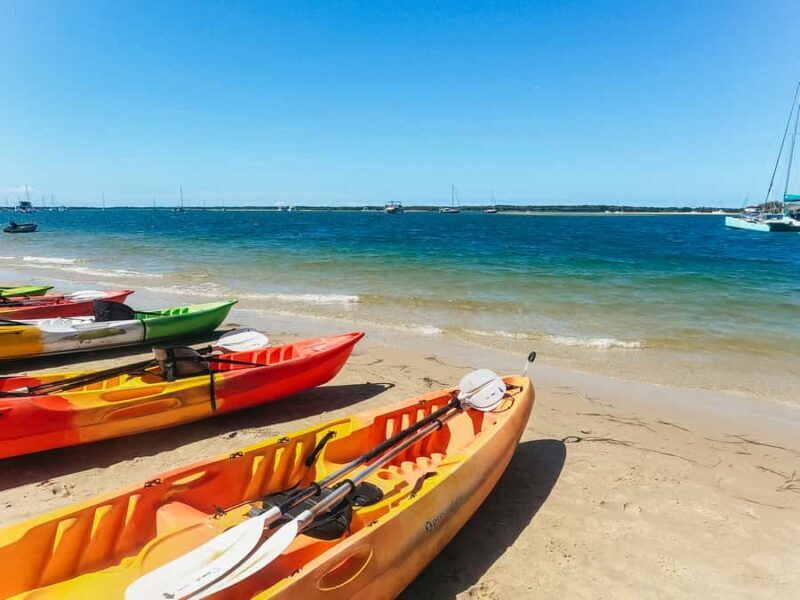 Gold Coast: Wave Break Island Kayaking & Snorkeling tour - The Value of the Tour