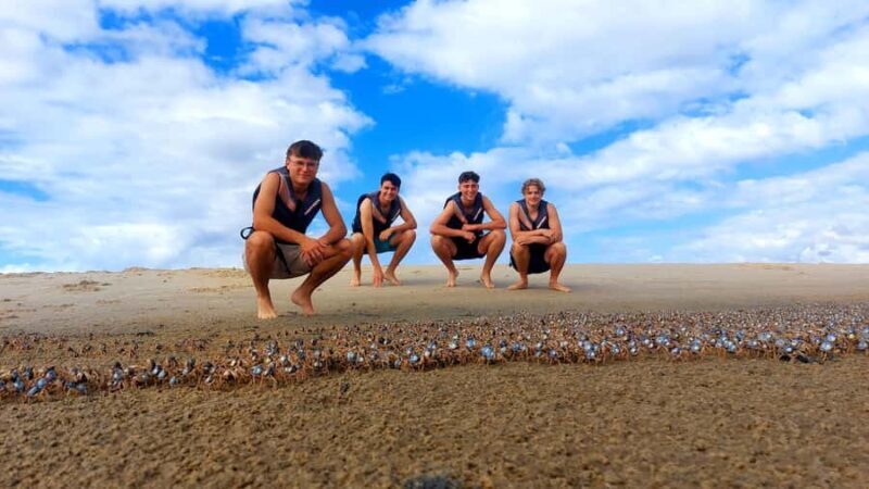 Gold Coast: Wave Break Island Kayaking & Snorkeling tour - Overall Experience & Recommendations