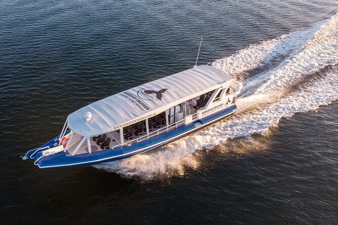 Gold Coast Whale Watching Cruise - Final Thoughts