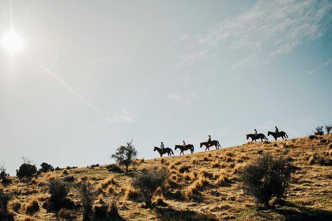 Gold Discovery Trail Horse Trek Cardrona - Most popular! - Key Points