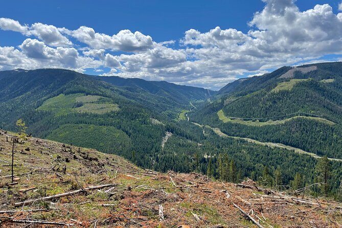 Gold Panning Activity at Mission Creek - Who Is This Tour Best For?