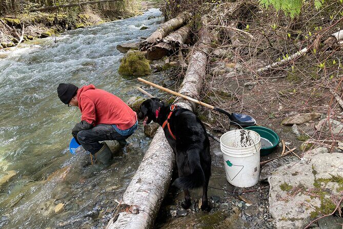 Gold Panning Activity at Mission Creek - Final Thoughts: Is It Worth It?