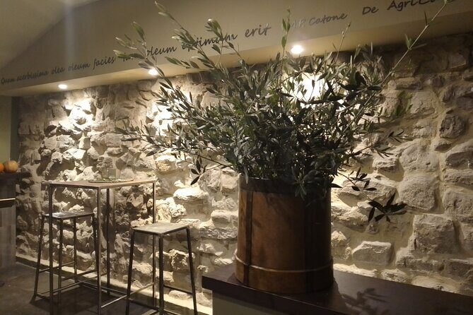 Gold tasting in the Oil Mill in Umbria - Dive Into the World of Olive Oil Production