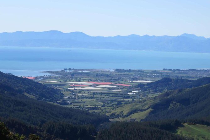 Golden Bay in a Day - What’s the Value?