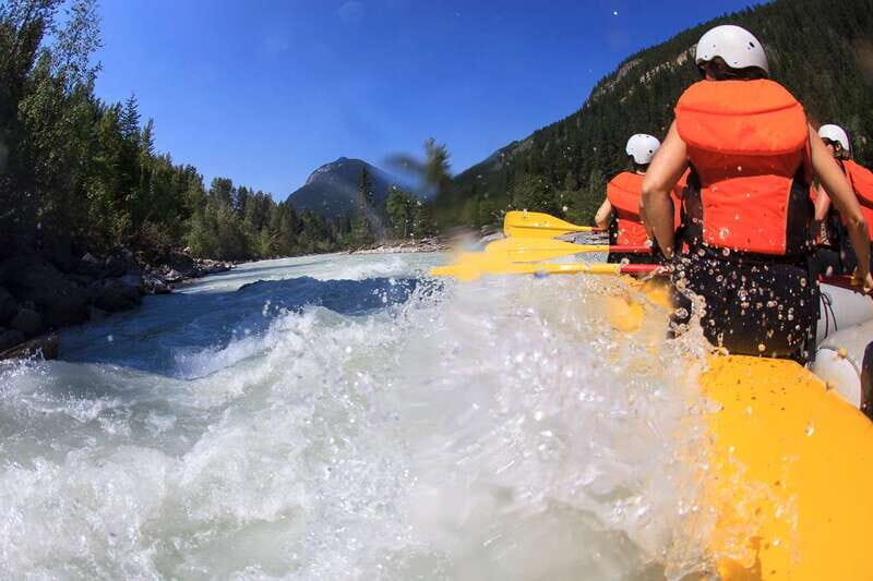 Golden, BC: Kicking Horse River Half Day Whitewater Rafting - Key Points