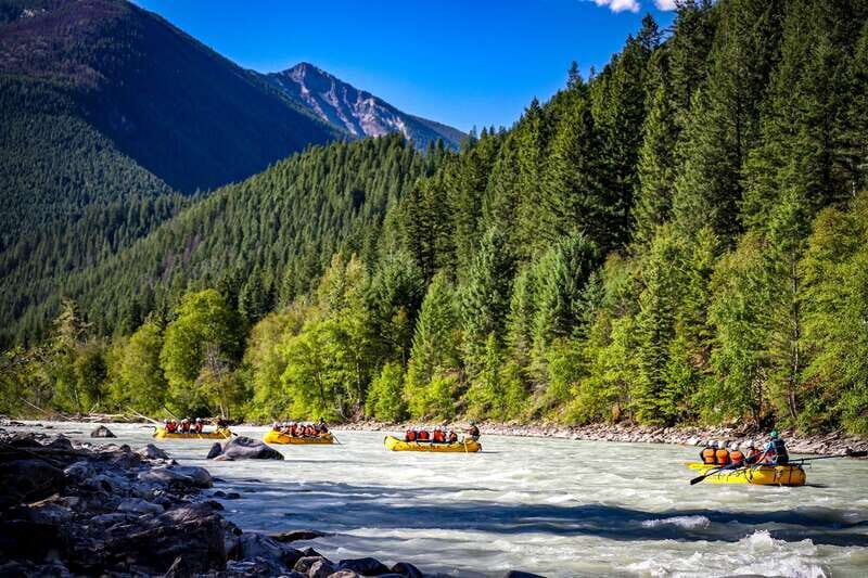 Golden, BC: Kicking Horse River Half Day Whitewater Rafting - Price & Value