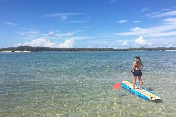 Golden Beach 1-Hour Stand-Up Paddleboard Hire on the Sunshine Coast - The Itinerary Breakdown: What to Expect