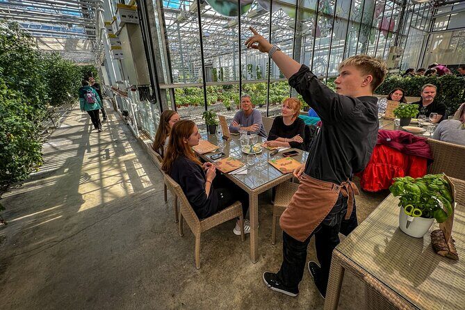 Golden Circle and Lunch at Fridheimar Tomato Farm - with photos - Exploring Þingvellir National Park