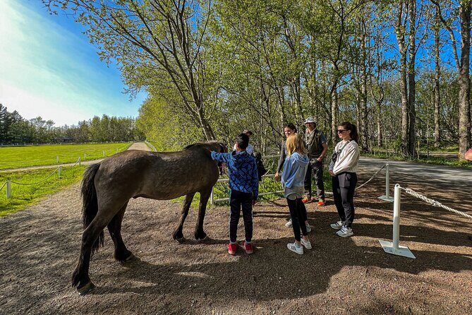 Golden Circle and Lunch at Fridheimar Tomato Farm - with photos - Things to Keep in Mind