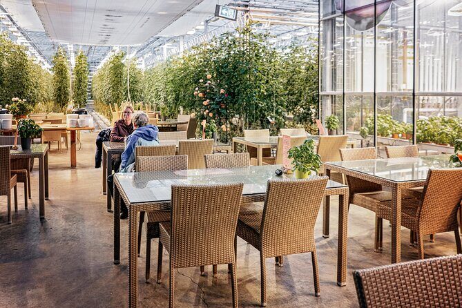 Golden Circle Day Tour in Mini Bus from Reykjavik with Fridheimar Tomato Farm - FAQs