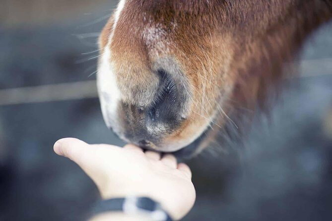 Golden Circle & Kerið Day Tour by Minibus from Reykjavik - An In-depth Look at the Tour Itinerary