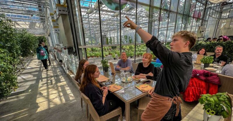 Golden Circle & Lunch at Fridheimar Tomato Farm- with photos - Final Thoughts