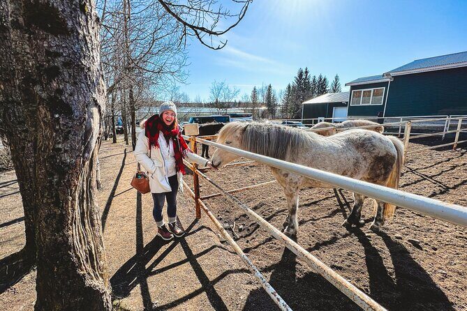 Golden Circle, Silfra Snorkeling & Fridheimar Tomato Farm Lunch - Final Thoughts