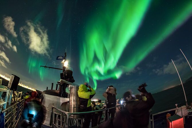 Golden Circle Tour and Evening Northern Lights Cruise from Reykjavik - What’s Included and What’s Not?
