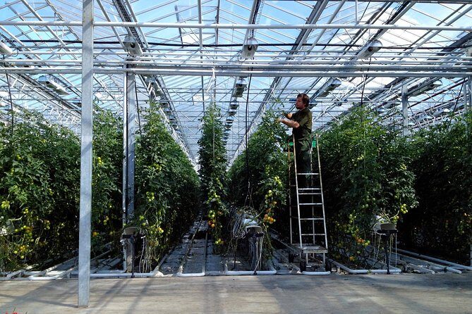 Golden Circle Tour and Evening Northern Lights Cruise from Reykjavik - FAQ