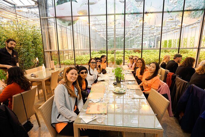 Golden Circle with Tomato Farm Lunch & Secret Lagoon Bathing - The Pros and Cons