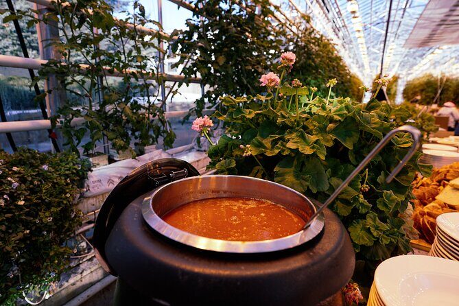 Golden Circle with Tomato Farm Lunch & Secret Lagoon Bathing - FAQ