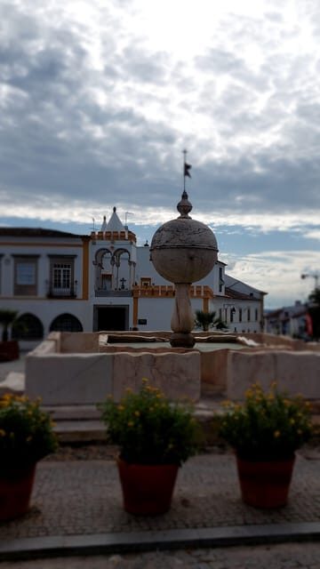 Golden Era of Évora walking & the portuguese wine tasting. - Who Will Love This Tour?