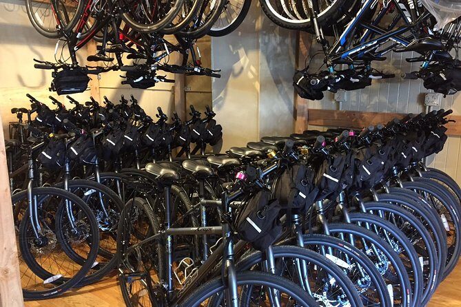 Golden Gate Bridge Electric Bike Rentals (E-Bike Rentals All day) - Beyond the Bridge: Exploring Downtown and the Piers