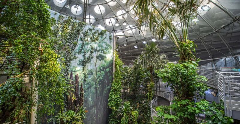 Golden Gate Park Tour With California Academy of Sciences - Key Points