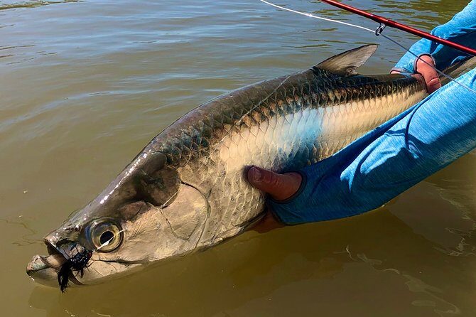 Golden Glare Fishing Charter with Experienced Captain - FAQ