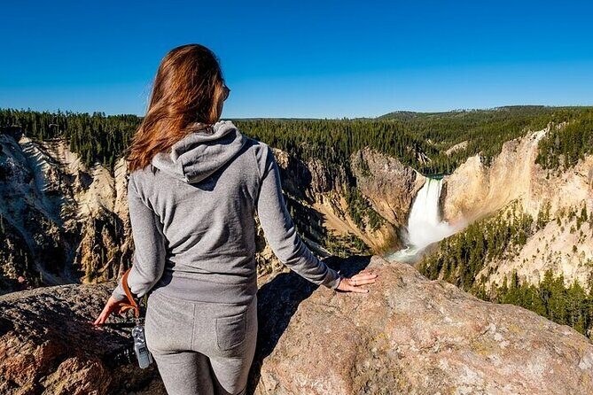 Golden Yellowstone Portraits - Key Points