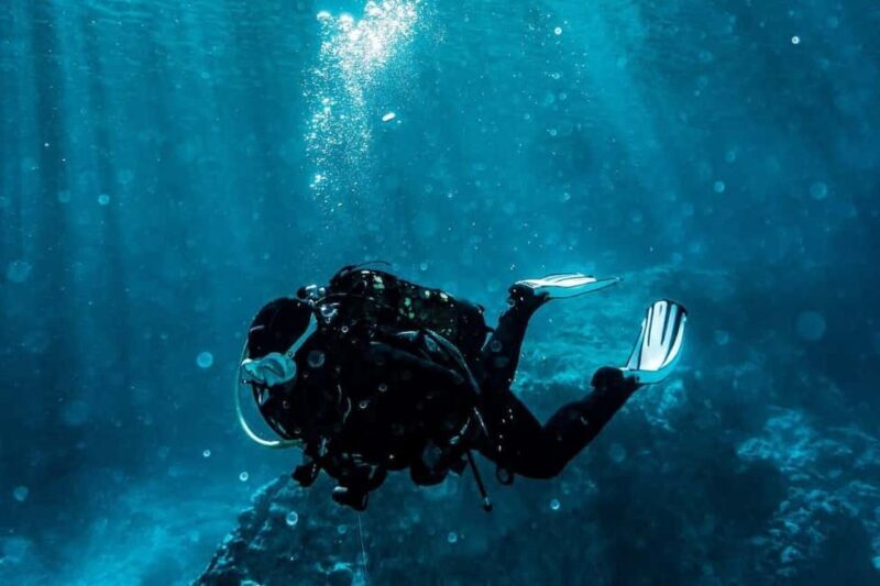 Golem/Durres: Ionian Sea Scuba Diving Experience - What to Expect on the Experience