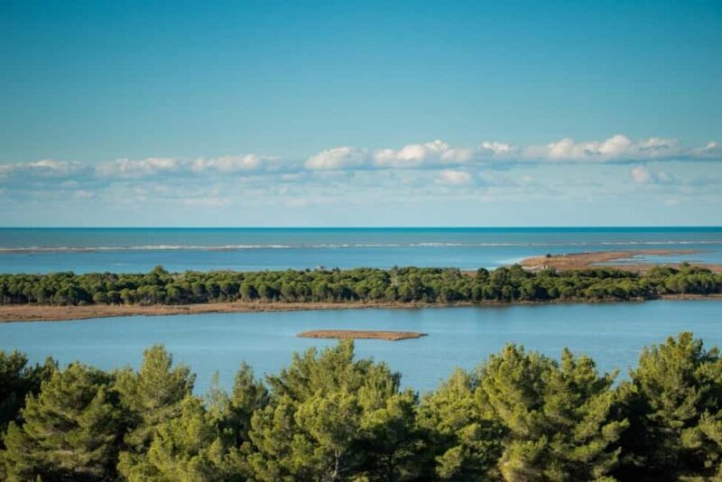 Golem/Durrës: Karavasta Lagoon Tour - Discover the Beauty of Karavasta Lagoon on a Full-Day Tour from Golem or Durrës