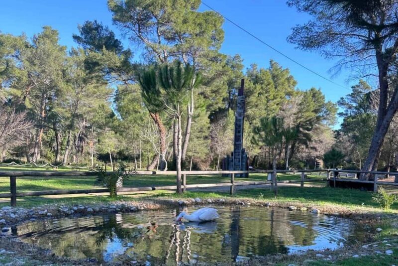 Golem/Durrës: Karavasta Lagoon Tour - Value for Money: Is It Worth It?