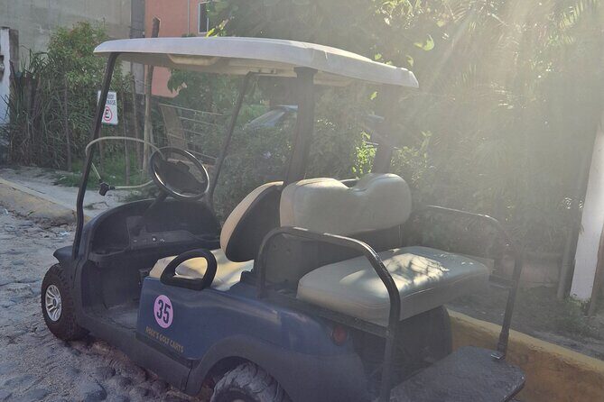 Golf Cart Rental in Sayulita - Parking and Accessibility