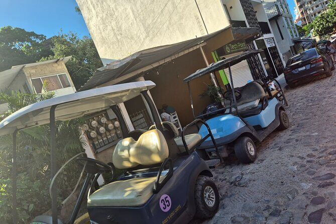Golf Cart Rental in Sayulita - The Practical Side: Cost and Value