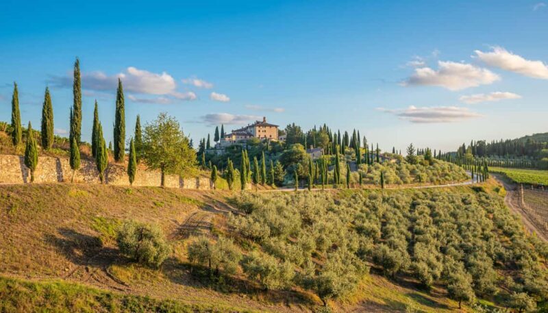 Golf Cart Tour: Express Highlights of Florence - The Sum Up