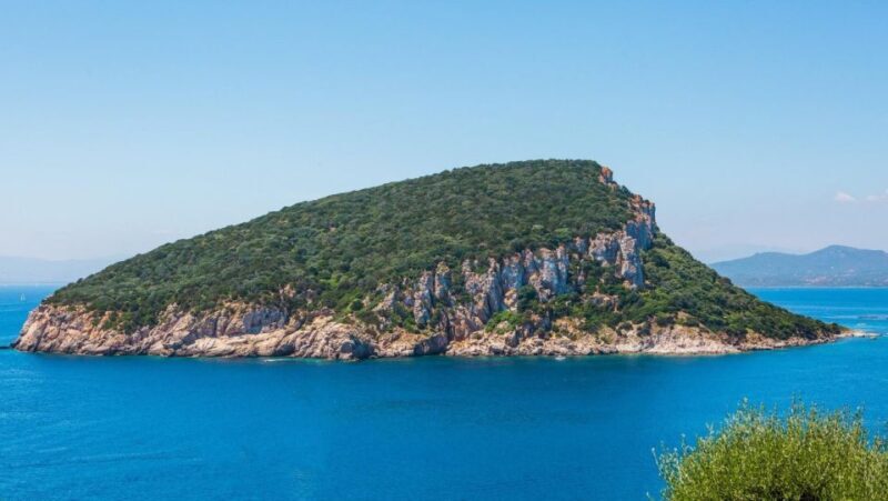 Golfo Aranci: Dolphin Watching and Snorkeling Boat Tour - Key Points