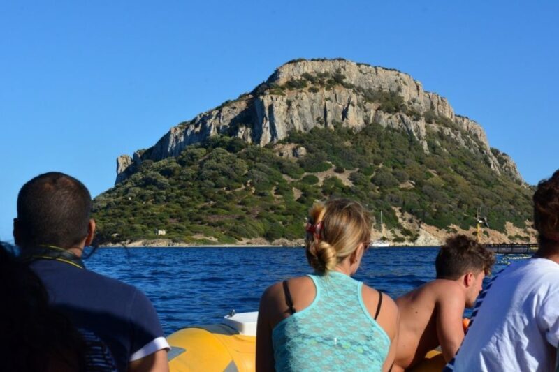 Golfo Aranci: Dolphin Watching and Snorkeling Boat Tour - Final Thoughts: Who Will Love This Tour?
