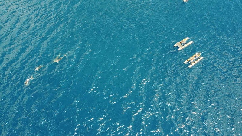 Golfo Aranci: Hydrobike Experience with Aperitif & Dolphins - Key Points