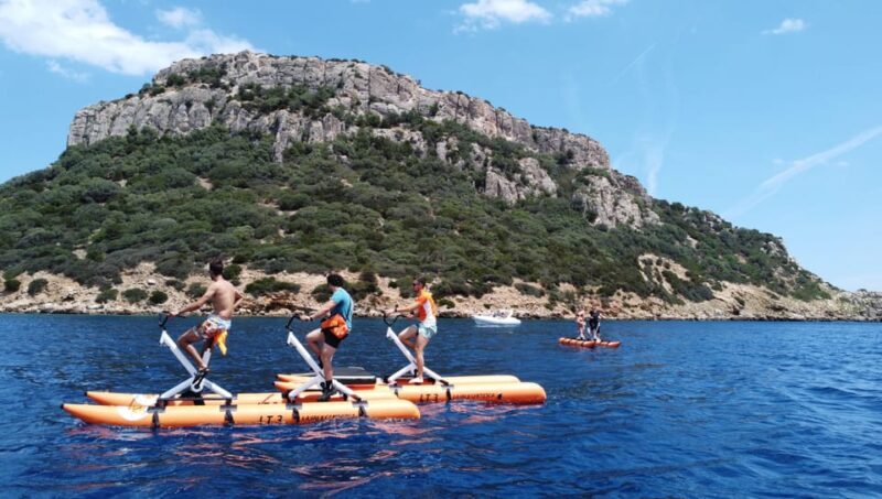Golfo Aranci: Hydrobike Experience with Aperitif & Dolphins - Who Should Consider This Tour?