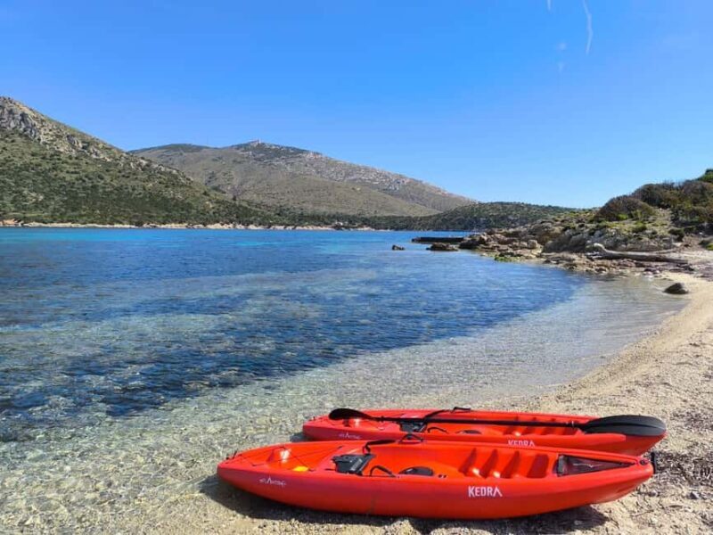 Golfo Aranci: Kayak tour with dolphin watching - Key Points