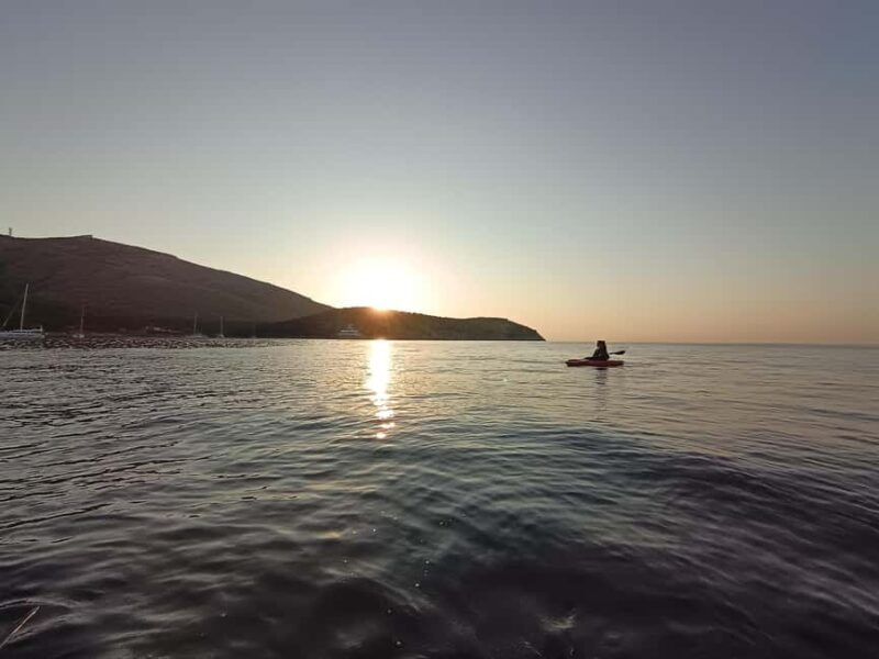 Golfo Aranci: Kayak tour with dolphin watching - Final Thoughts