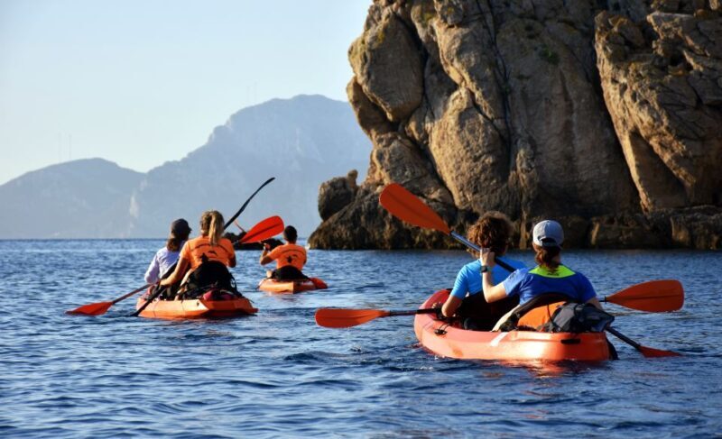 Golfo Aranci: Kayak Tour with Dolphins and Aperitif - What to Expect from the Golfo Aranci Kayak Tour