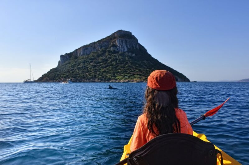 Golfo Aranci: Kayak Tour with Dolphins and Aperitif - Practical Details
