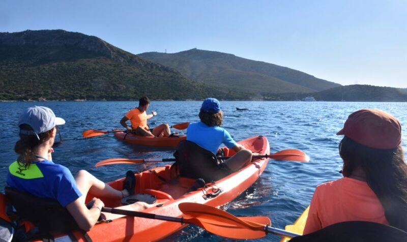 Golfo Aranci: Kayak Tour with Dolphins and Aperitif - Who Will Love This Tour?